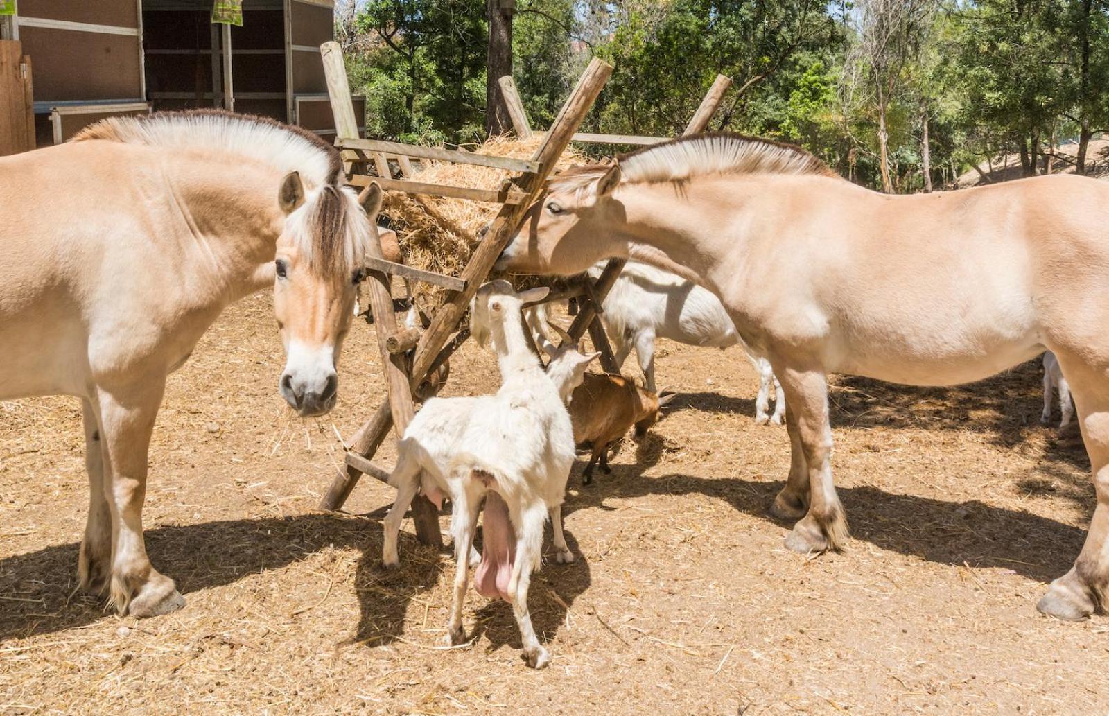 Quinta De Sao Pedro Villa Sobreda Eksteriør bilde